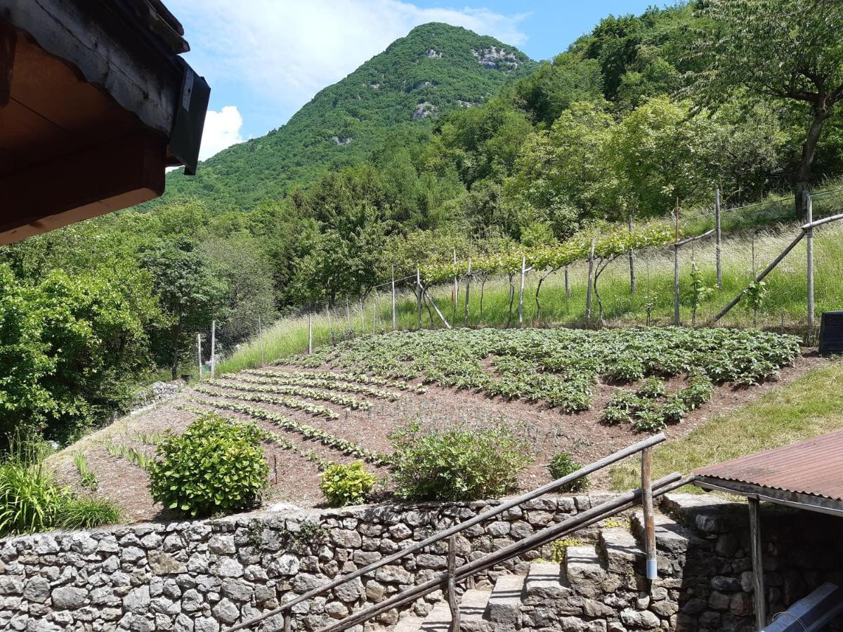 Ca' Berti Appartamento Con Terrazza Ville Del Monte Tenno Exterior photo
